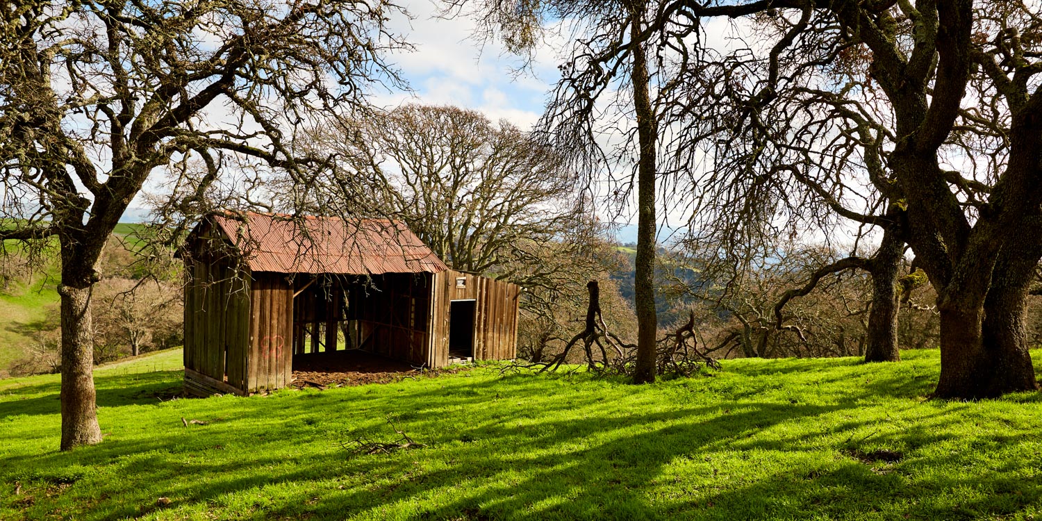 Almond Ranch John Muir Land Trust