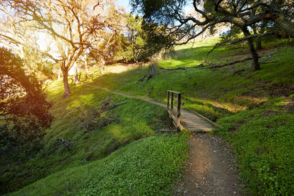 Vehicle Gifts John Muir Land Trust