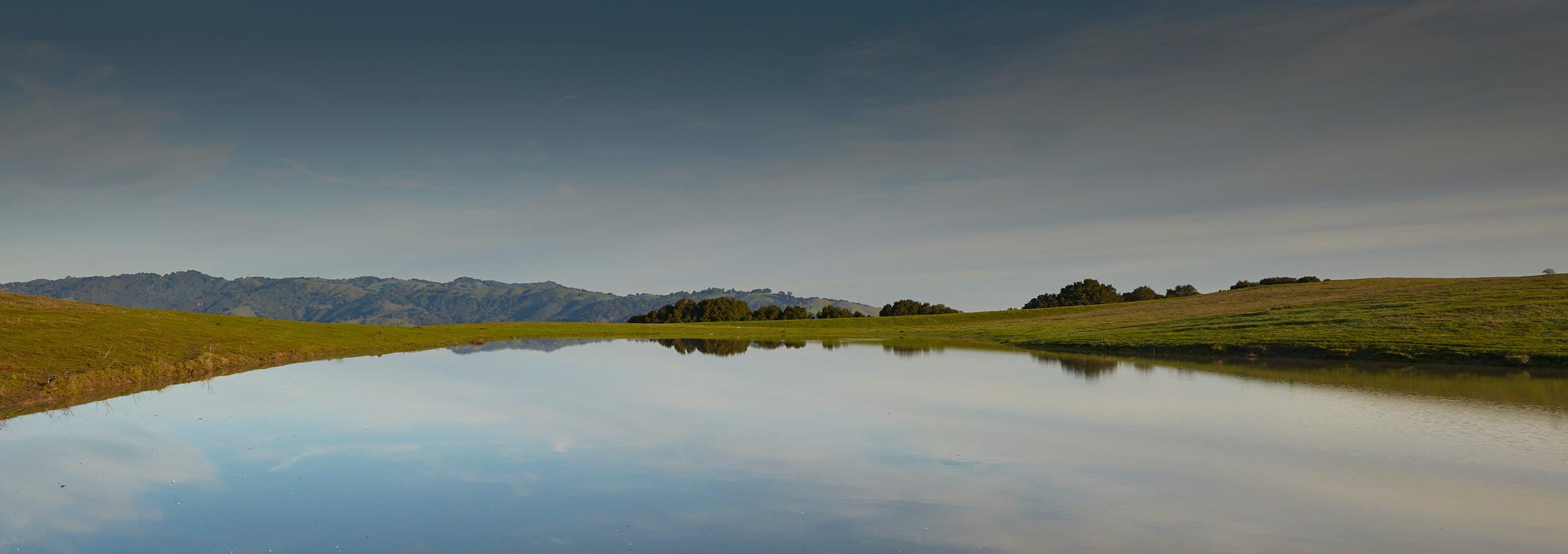 parallax background