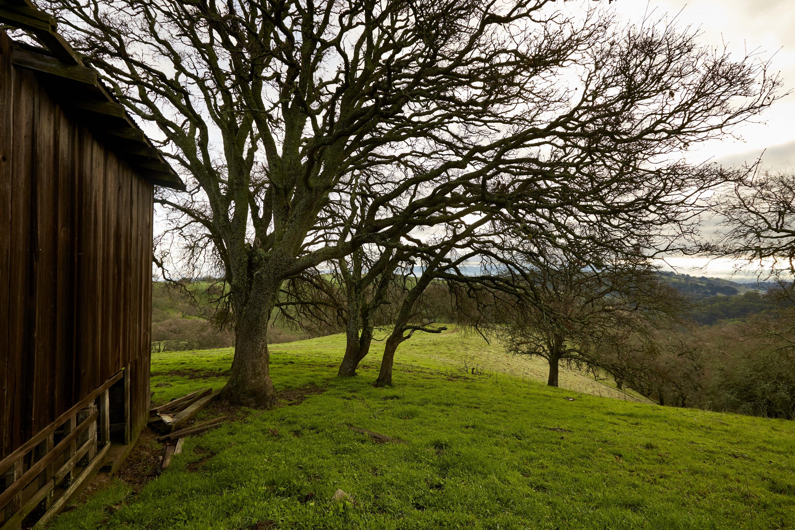 Almond Ranch John Muir Land Trust
