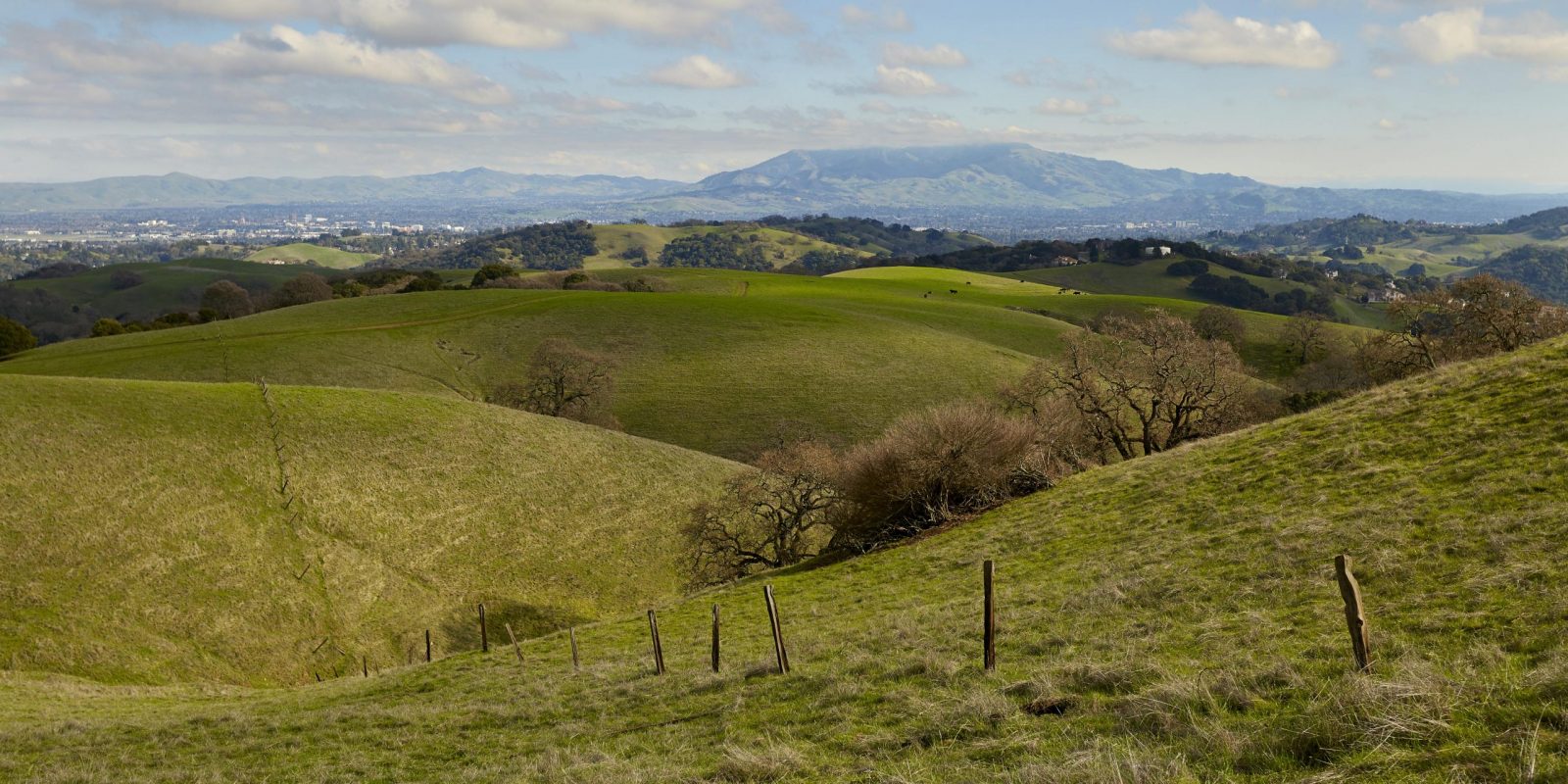Almond Ranch John Muir Land Trust