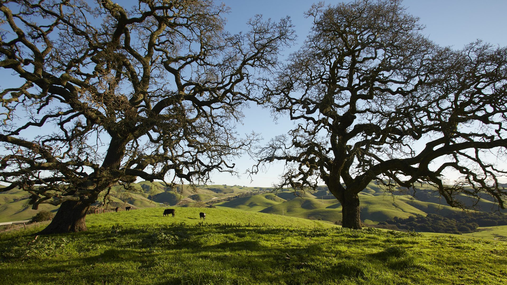 Home - John Muir Land Trust