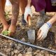 No till farming is employed at Family Harvest Farm