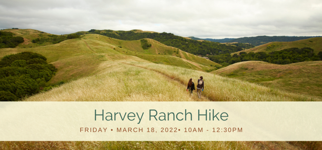 Hike Harvey Ranch