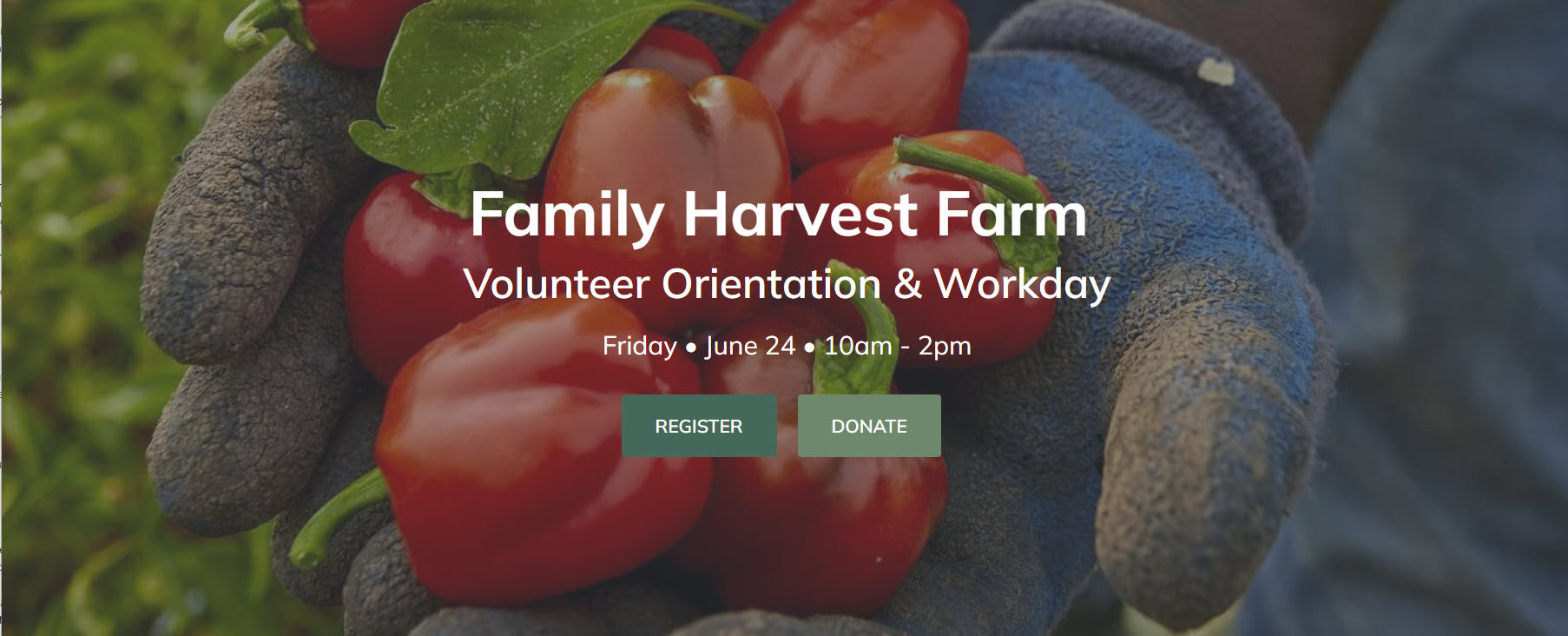 Family Harvest Farm Volunteer Workday