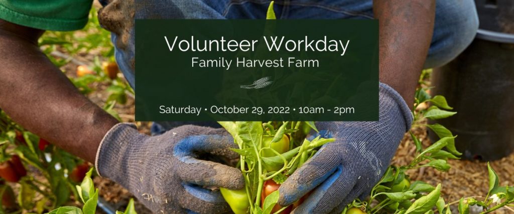 Volunteer at Family Harvest Farm