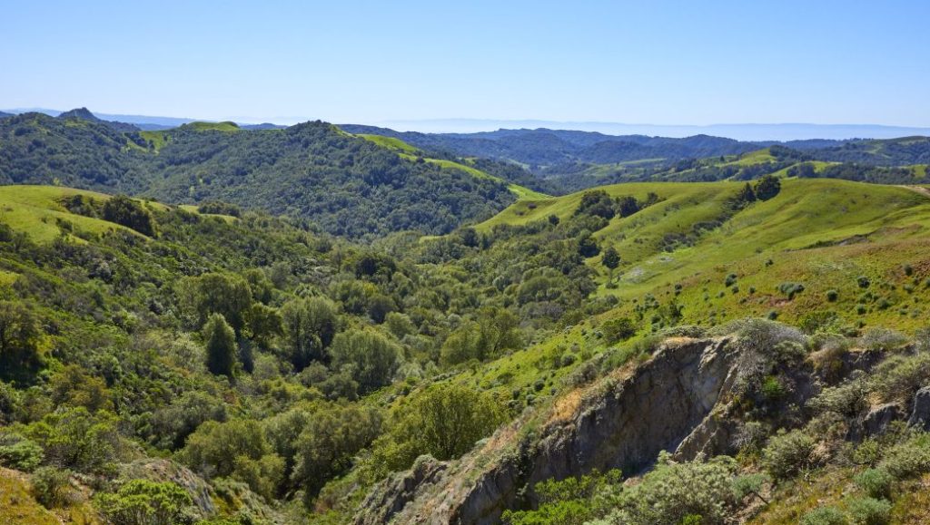 View overlooking the Harvey Ranch property of rolling and forested green hills