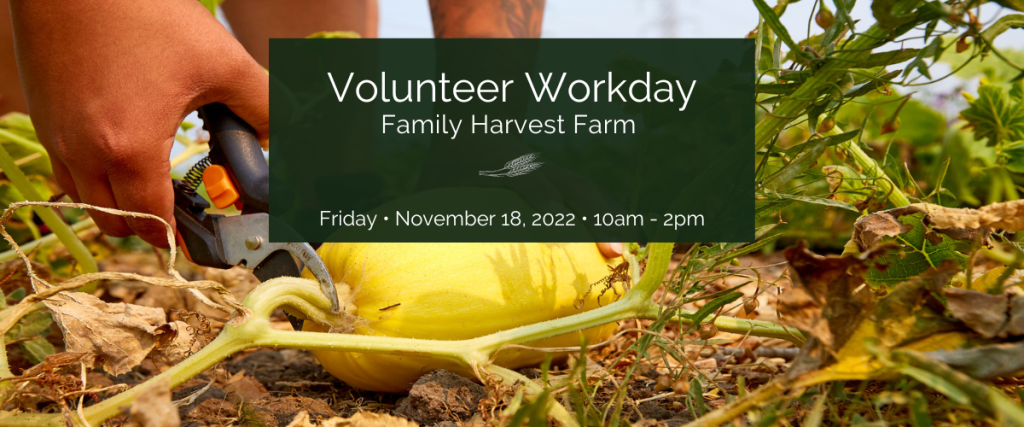 Volunteer Workday at Family Harvest Farm