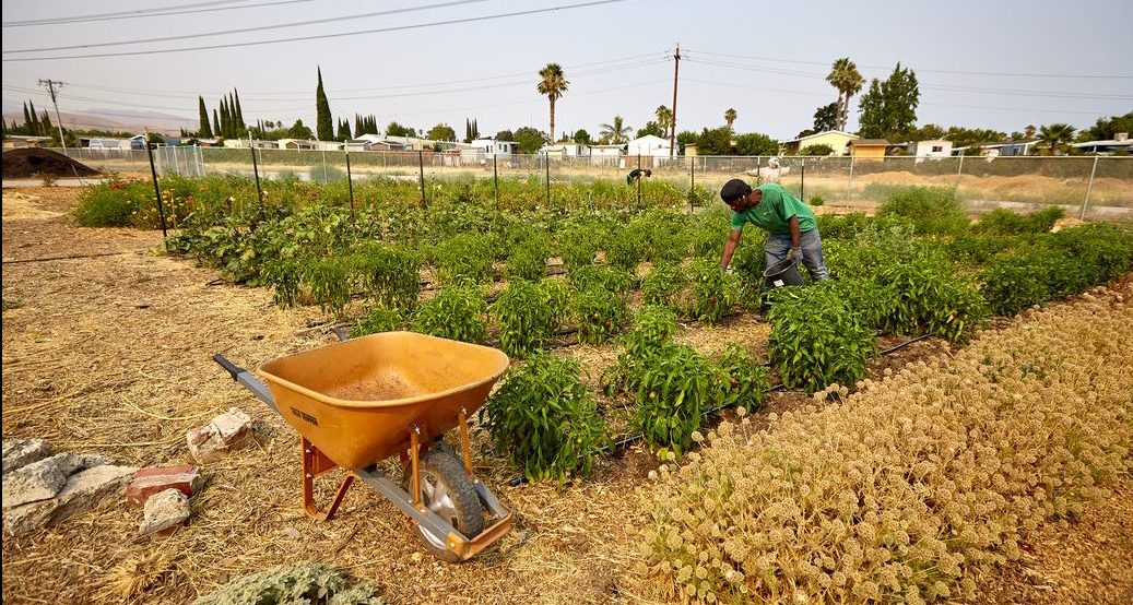 Fostering a Farm Community John Muir Land Trust