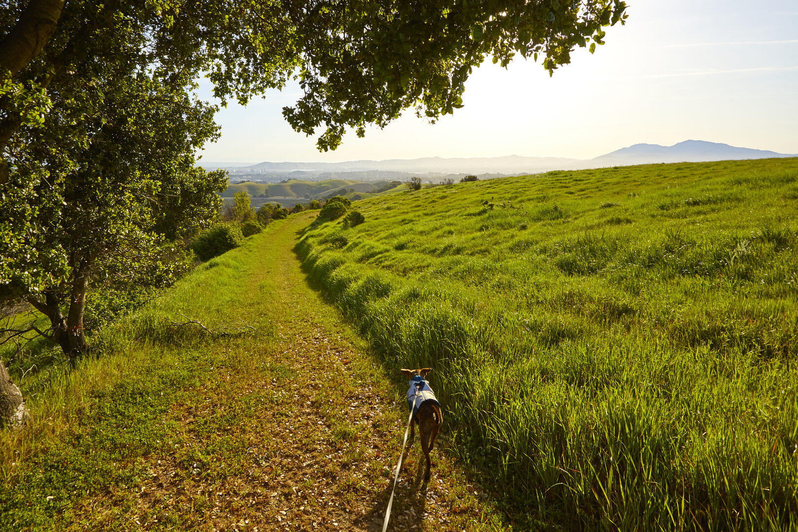 Ridgeline hiking trail with panoramic valley views