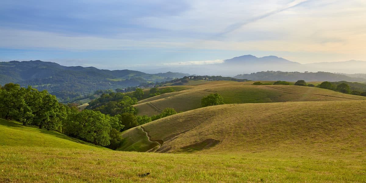 Panoramic view of East Bay Hills landscape