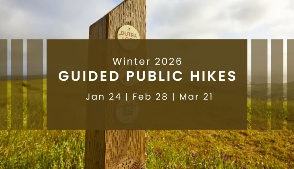 Guided Public Hikes with JMLT