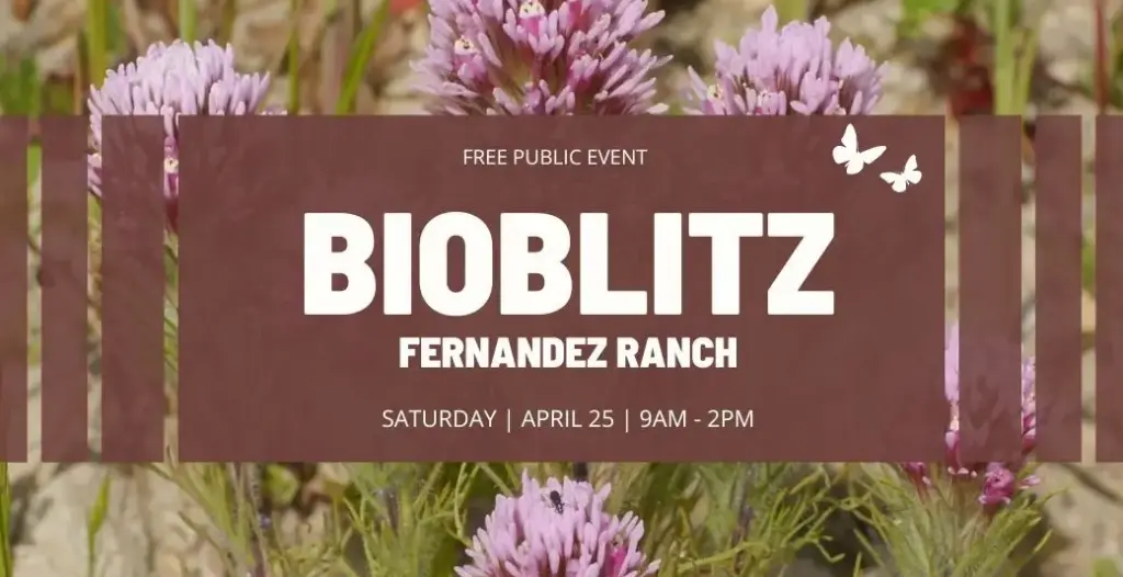 2026 Bioblitz at Fernandez Ranch