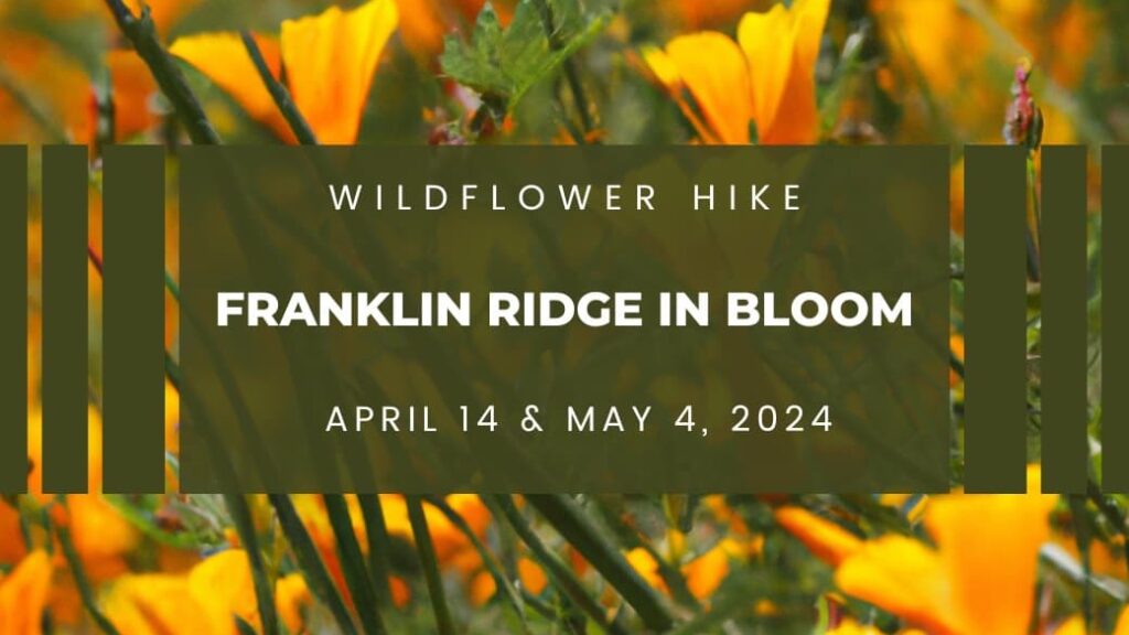 Franklin Ridge Wildflower hike