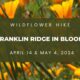Franklin Ridge Wildflower hike