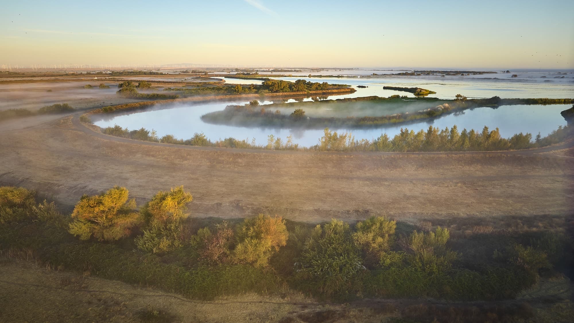 Aerial view of protected wetland property