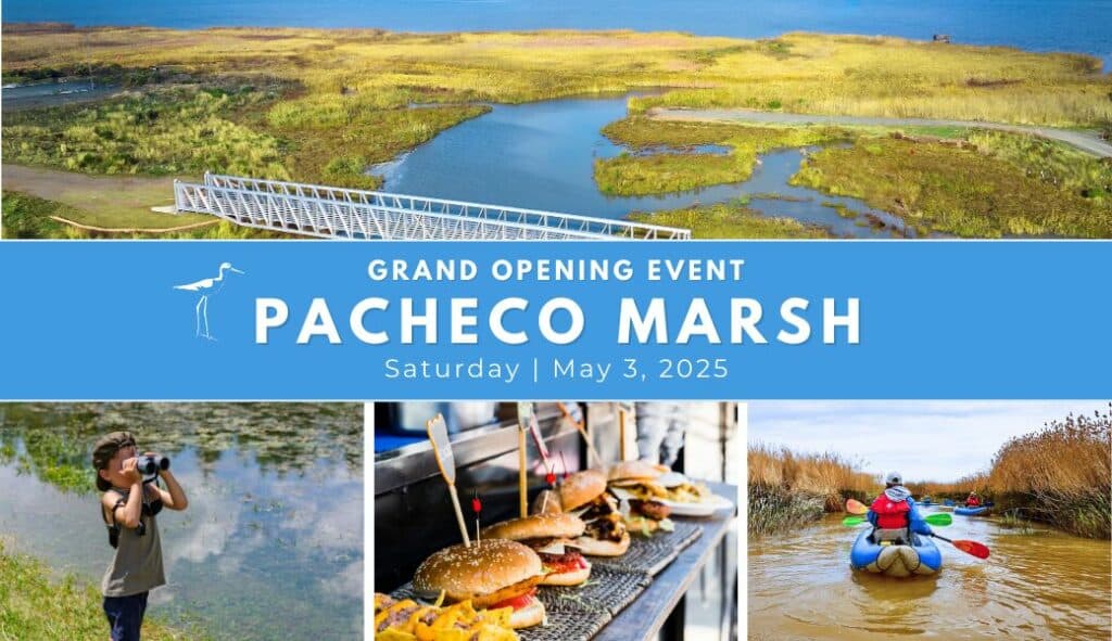 Pacheco Marsh opening celebration May 3