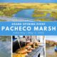 Pacheco Marsh opening celebration May 3