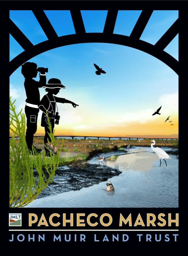 Pacheco Marsh New Icon