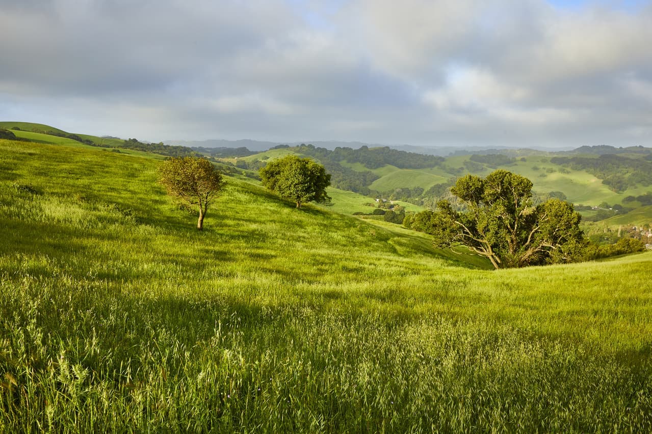 Storm clouds over the rolling green hills of Franklin Ridge