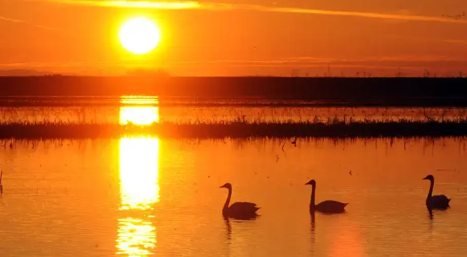 Sunset on the Delta on Wednesday, Jan. 25, 2012. (Doug Duran/Bay Area News Group)