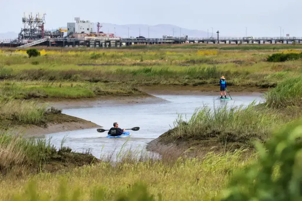 Visitors on a kayak and a paddleboard paddle along the creeks during the Pacheco Marsh grand opening to the public in Martinez, Calif., on Saturday, May 3, 2025.