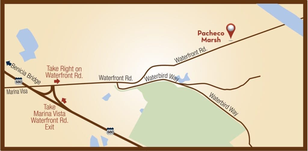 Getting to Pacheco Marsh