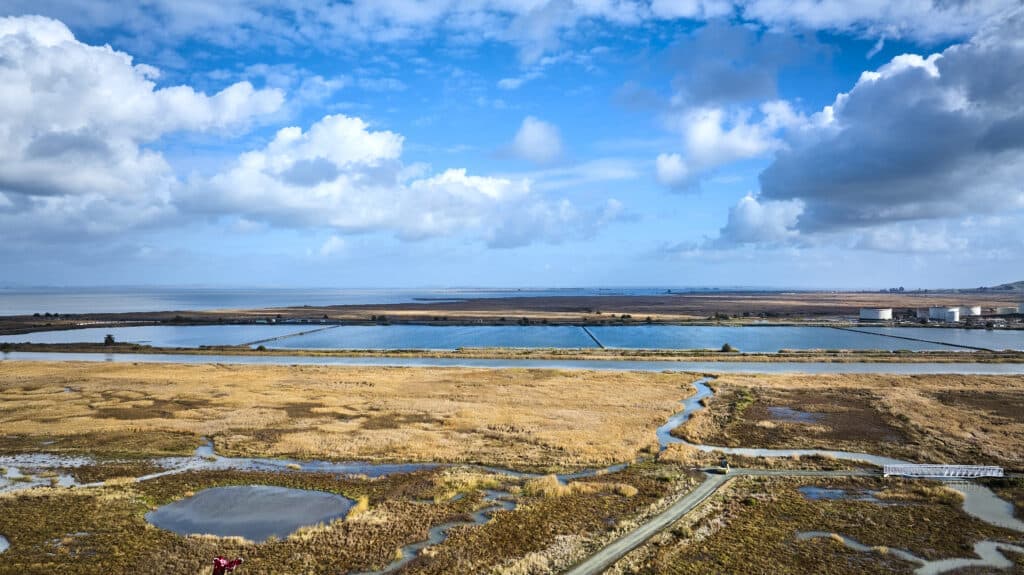 Pacheco Marsh Opens To The Public