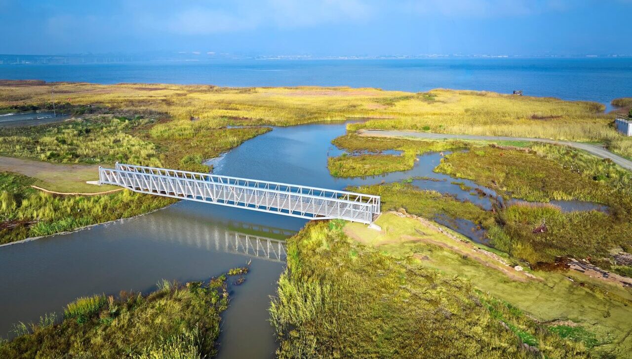 Pacheco Marsh, Martinez, CA