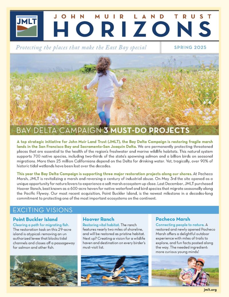 Read the current issu