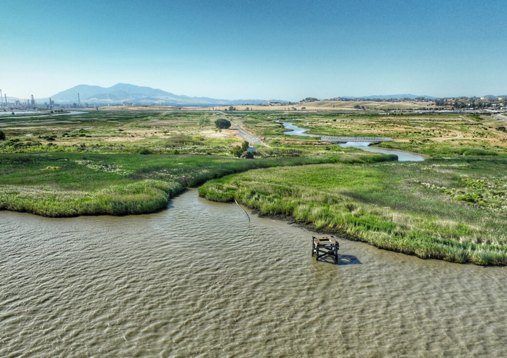 Pacheco Marsh with restored tidal channels