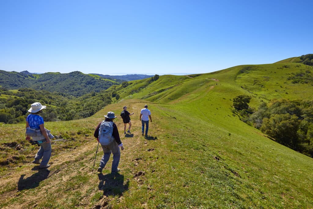 Four hikers traversing a ridgeline of green rolling hills.