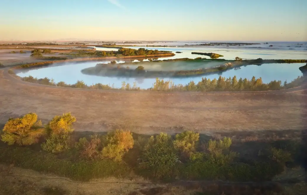 Trails and upland areas