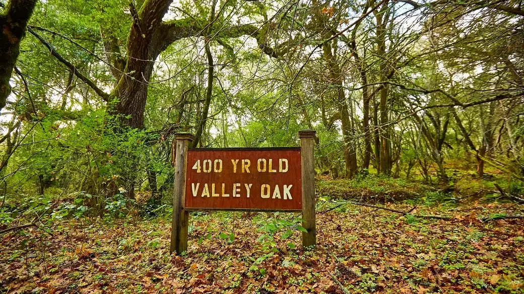 Our Places - John Muir Land Trust