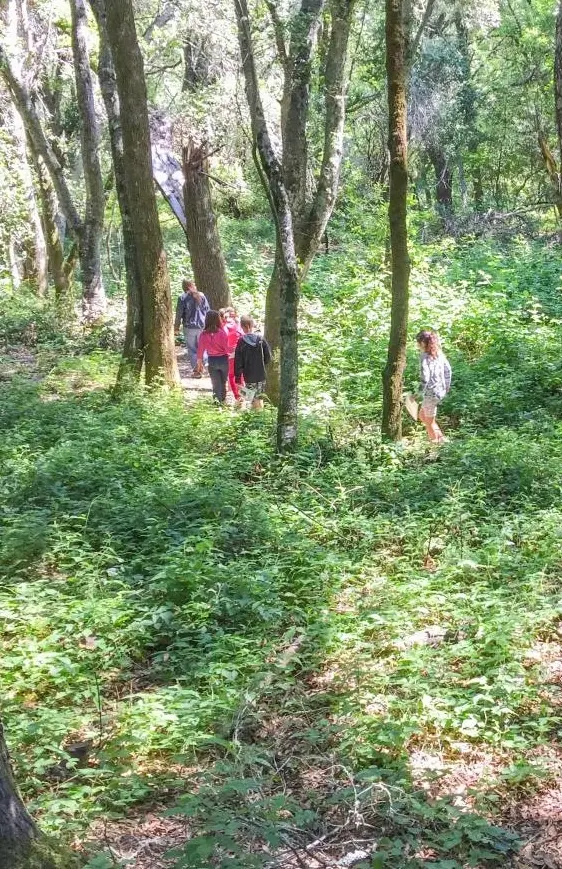 Children learning about plants in outdoor education program
