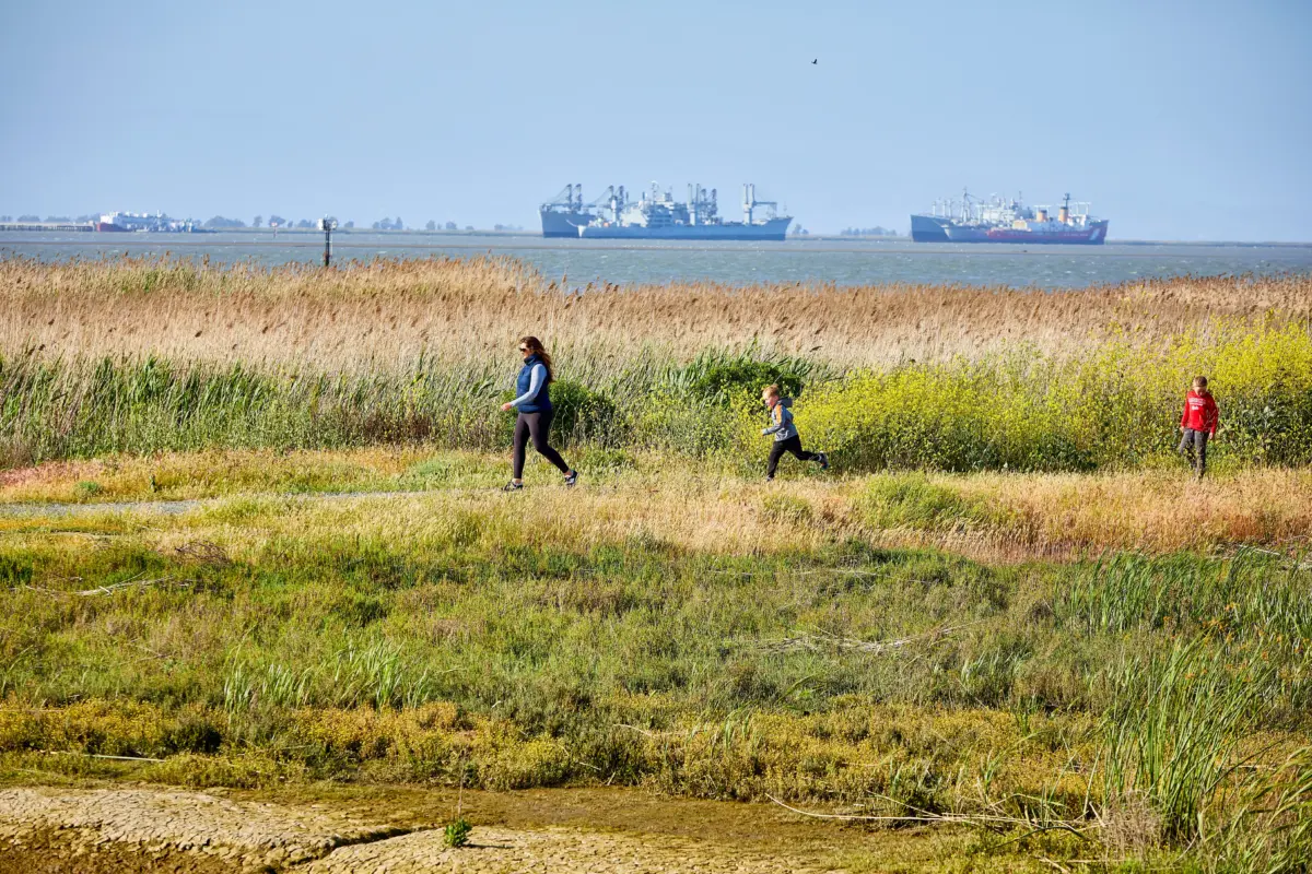 Students exploring Pacheco Marsh wetlands