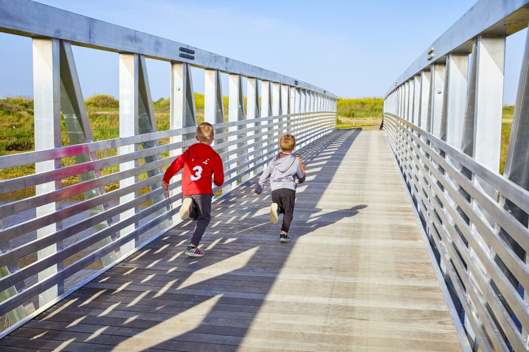 Trail and bridges at Pacheco Marsh