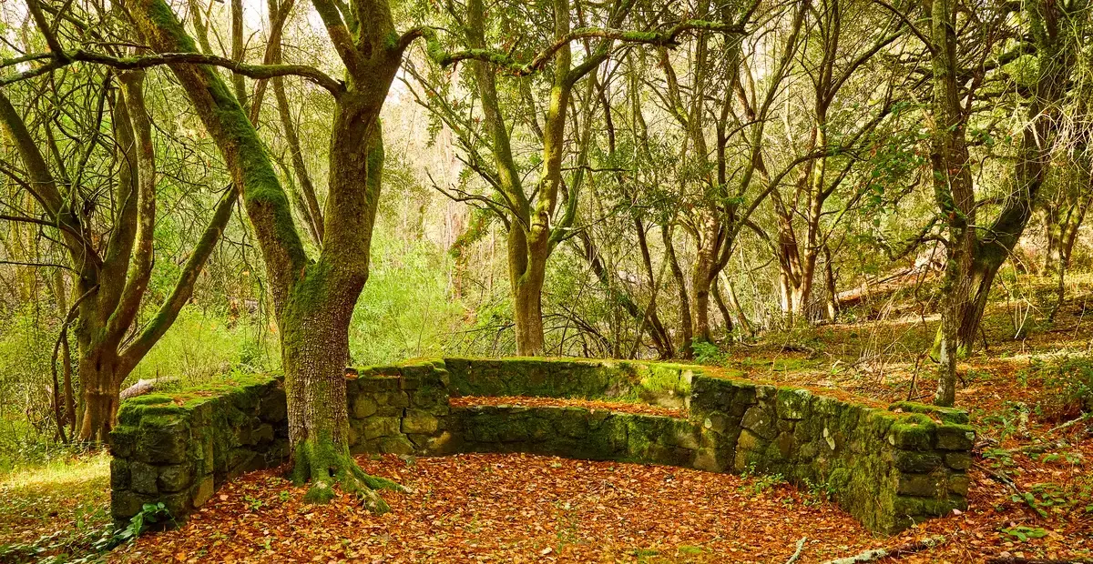 Wagner Ranch Nature Area future vision