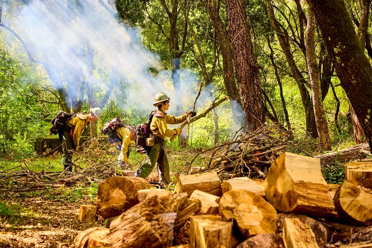 Smoke rising from burning brush piles at Wagner Ranch Nature Area.