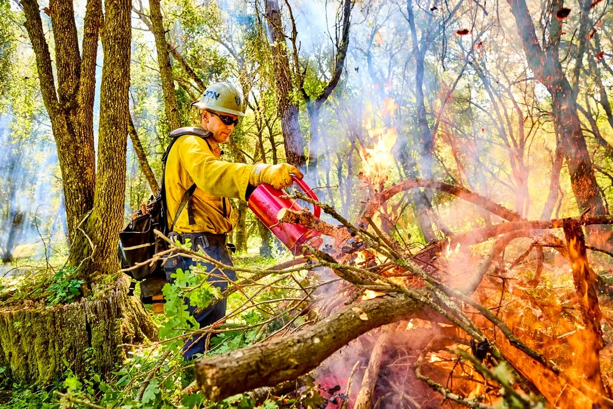 Smoke rising from burning brush piles at Wagner Ranch Nature Area.