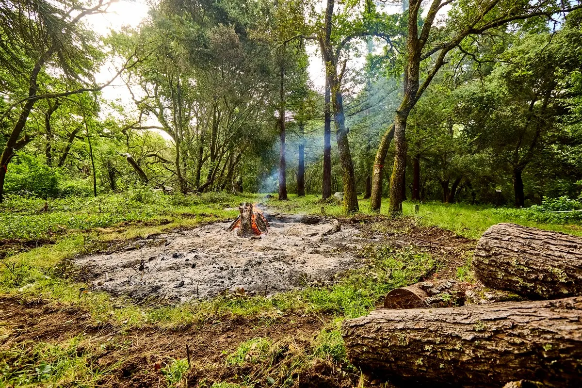 The cleared ground at Wagner Ranch Nature Area after the pile burn.