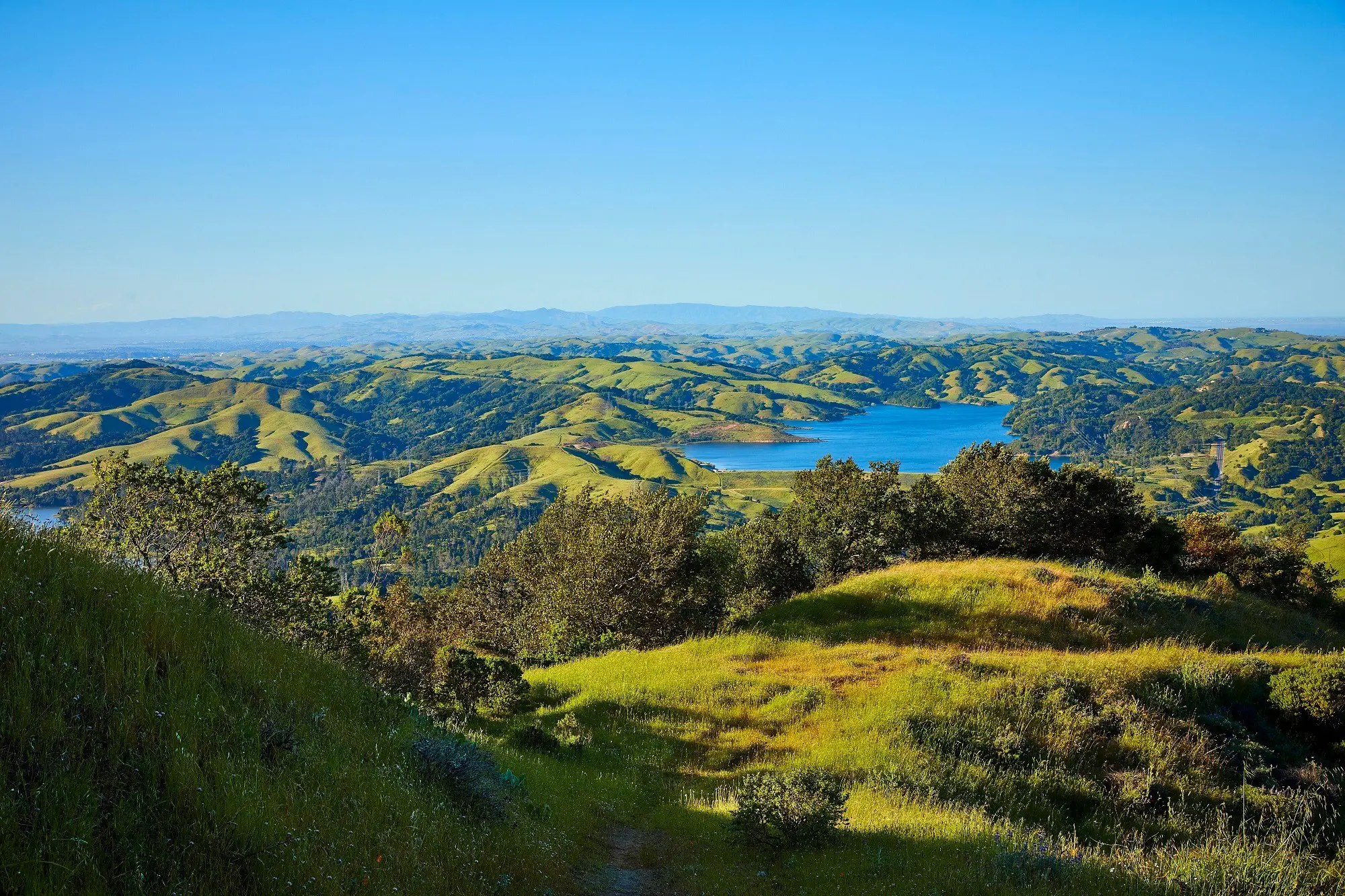 Johnson Ranch overlooking oak woodland and the reservoir below.