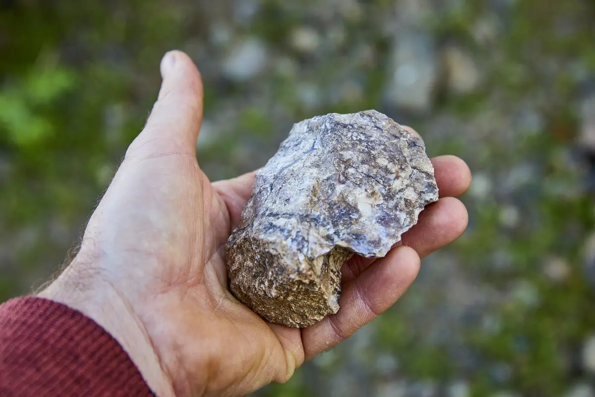 One of numerous fossils found on the ranch