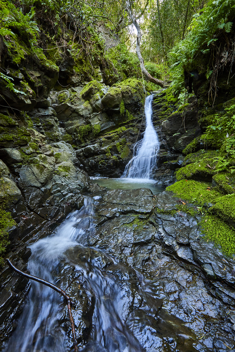 Water flowing through a mossy, rocky ravine on Johnson Ranch.