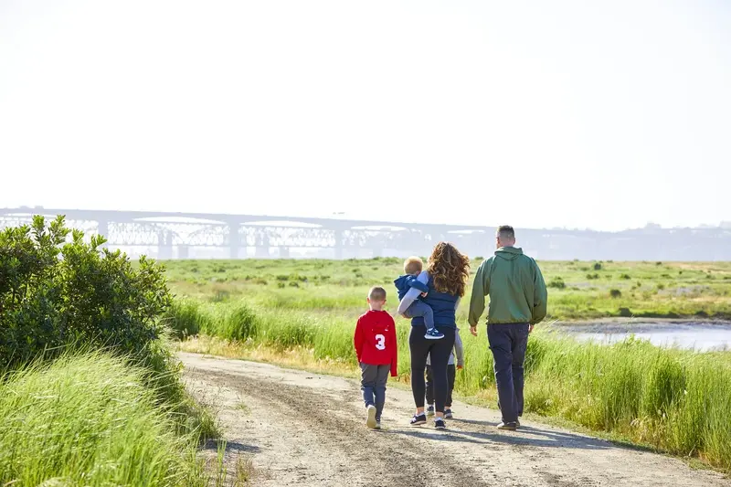 Scenic wetland with walking trails and native vegetation