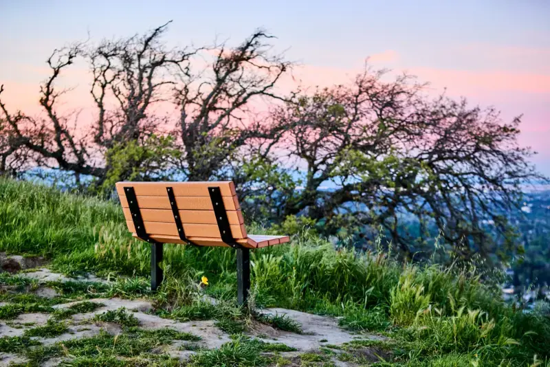Wooden park bench with panoramic views at dawn.