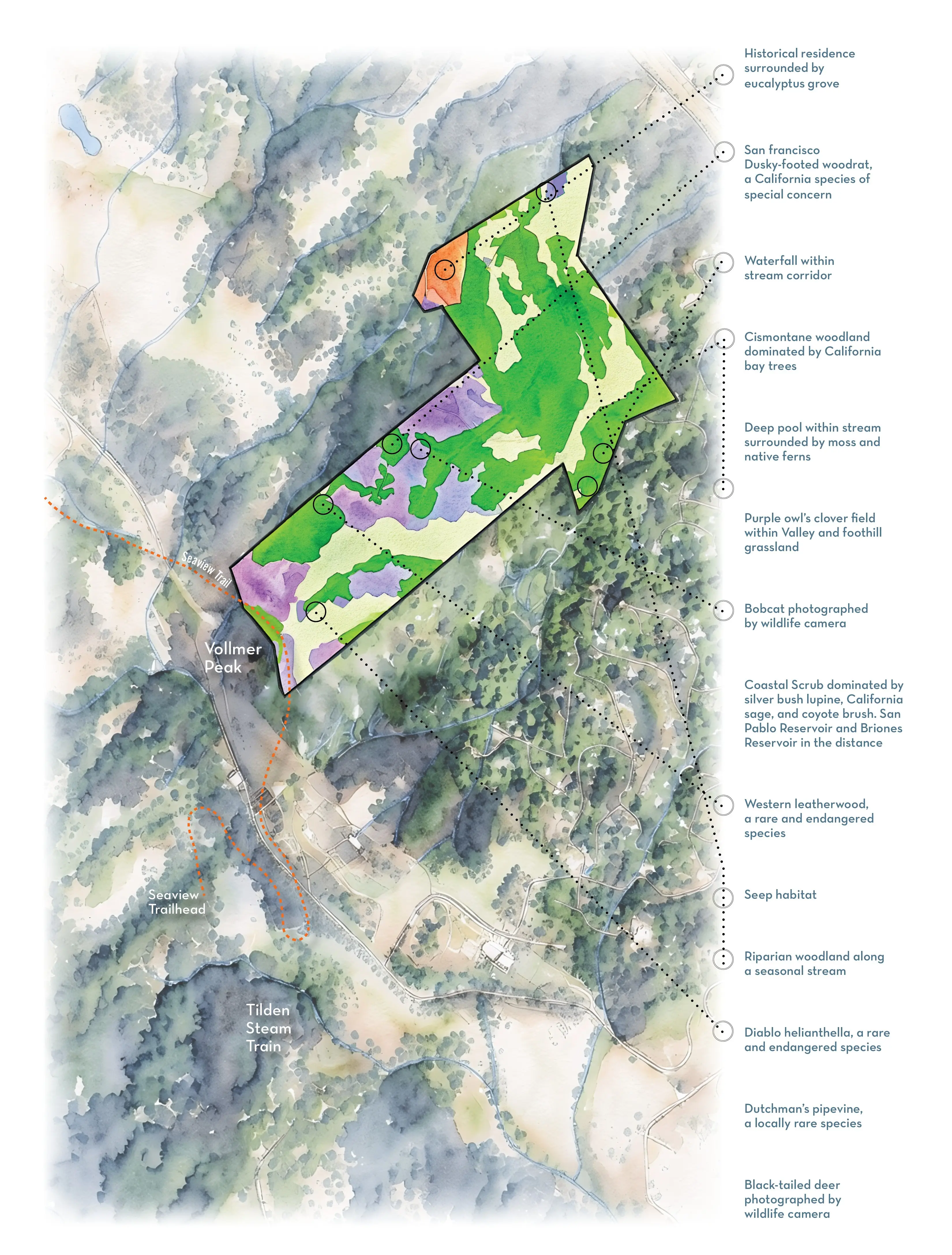Illustrated map of Johnson Ranch showing its boundary and habitat types, with Vollmer Peak, the Seaview Trail, and the Tilden Steam Train to the southwest.